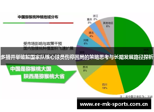 多措并举破解国家队核心球员伤停困局的策略思考与长期发展路径探析